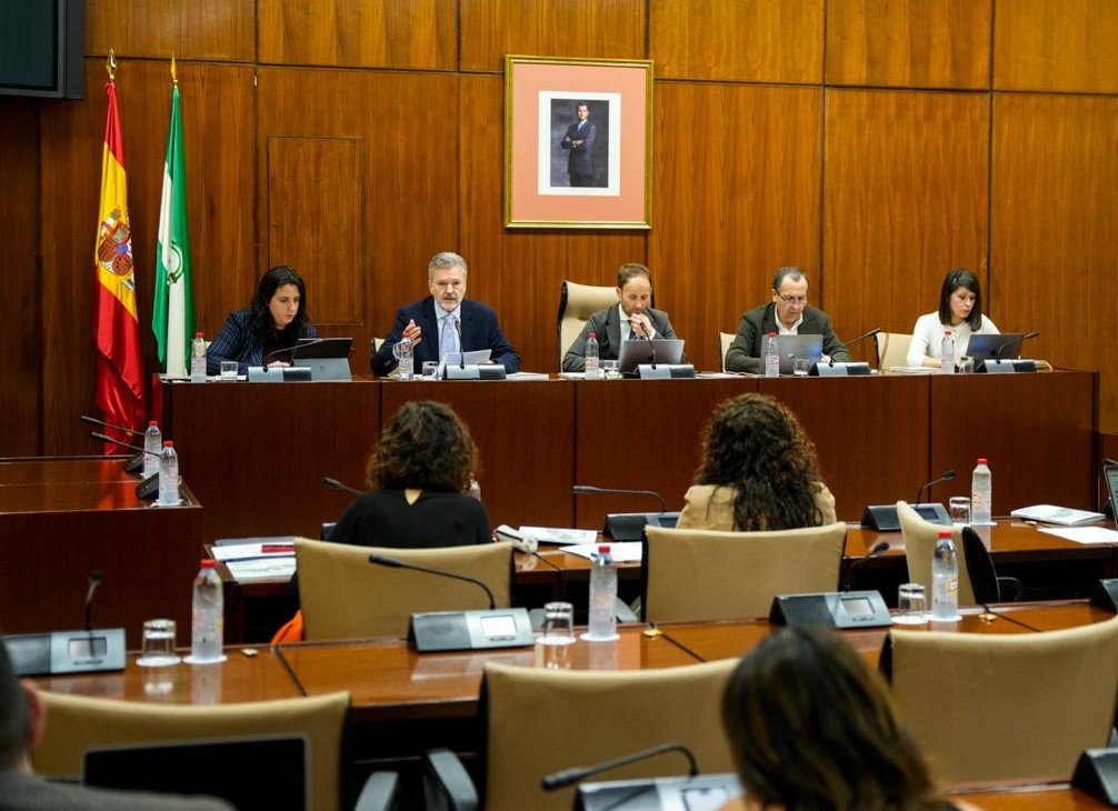 El CAA reafirma en el Parlamento su compromiso con la defensa de la ciudadanía frente a los desafíos del entorno digital